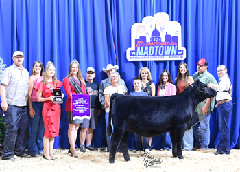 Bred-and-owned Late Senior Heifer Calf Champion