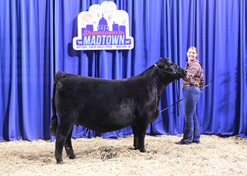 Owned Heifer Class 49