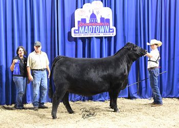 Owned Heifer Class 43