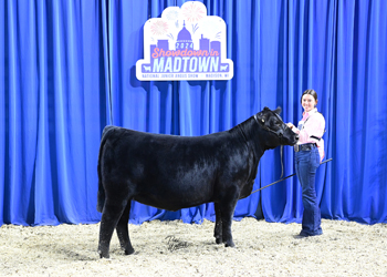 Owned Heifer Class 21