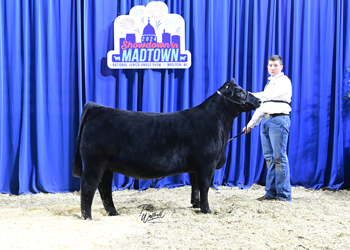 Owned Heifer Class 24