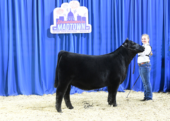 Owned Heifer Class 6