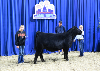 Owned Heifer Class 3