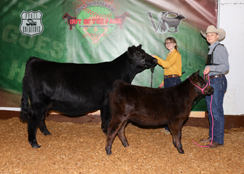 Grand Champion Cow-calf Pair