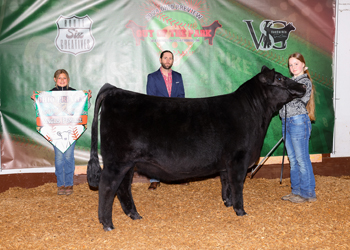 Reserve Grand Champion Owned Female