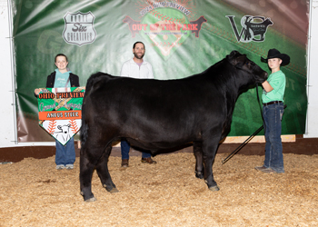 Grand Champion Steer