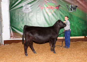 Owned Fall Heifer Calf Champion