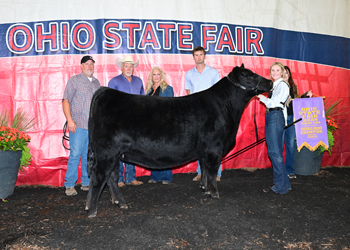 Reserve Grand Champion Female