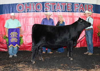 Grand Champion Bred-and-owned Female