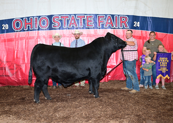 Grand Champion Bull