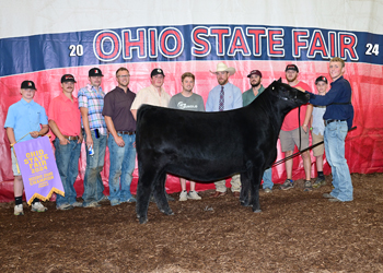 Reserve Grand Champion Female