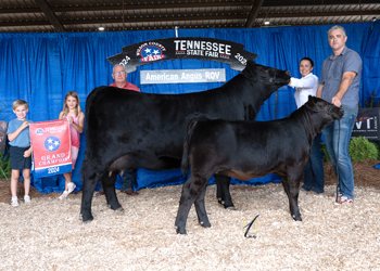 Grand Champion Cow-calf Pair