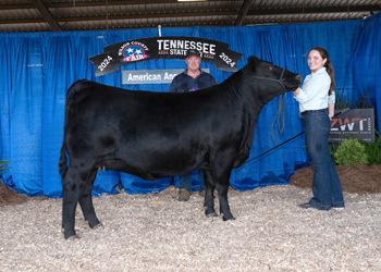 Owned Reserve Senior Champion Female