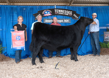 Reserve Grand Champion Owned Female