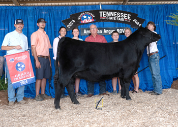 Grand Champion Owned Female