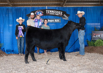 Owned Senior Heifer Calf Champion