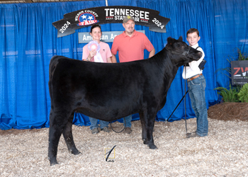 Owned Reserve Senior Heifer Calf Champion