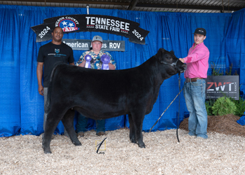 Owned Junior Heifer Calf Champion