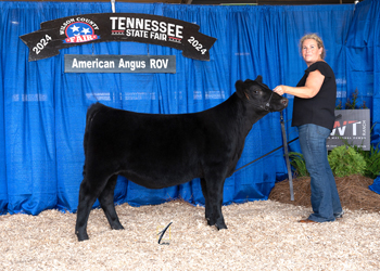 Owned Reserve Junior Heifer Calf Champion