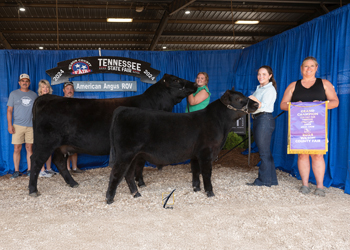 Grand Champion Cow-calf Pair