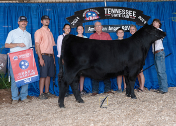 Grand Champion Female