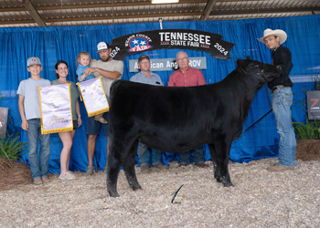 Reserve Grand Champion Female