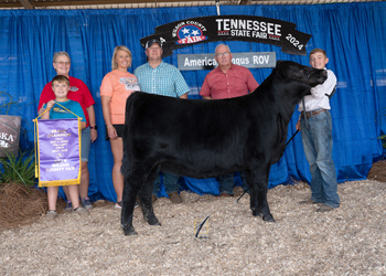 Grand Champion Bred-and-owned Female