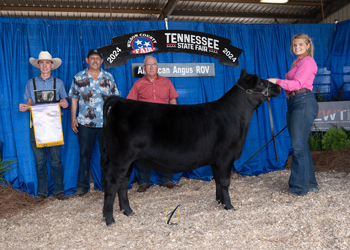 Reserve Grand Champion Bred-and-owned Female