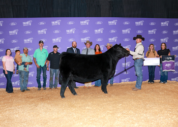 Grand Champion Female