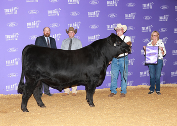 Grand Champion Bull