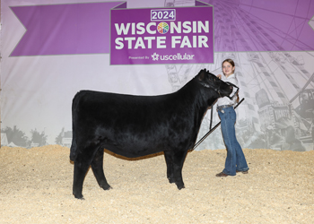 Reserve Grand Champion Female