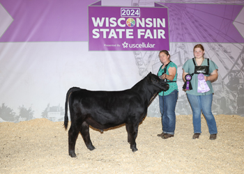 Reserve Grand Champion Bull