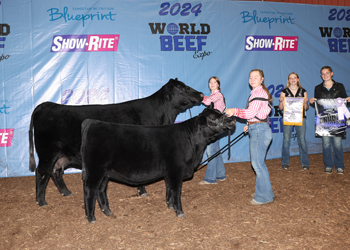 Reserve Grand Champion Cow-calf Pair