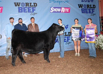 Grand Champion Female