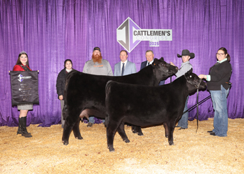 Reserve Grand Champion Cow-calf Pair