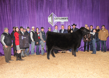 Reserve Grand Champion Female