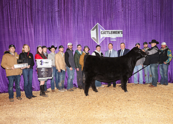 Grand Champion Female