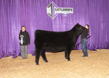 Reserve Senior Heifer Calf Champion-Division 1