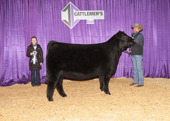 Reserve Senior Heifer Calf Champion-Division 2