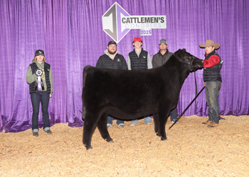 Senior Heifer Calf Champion-Division 2