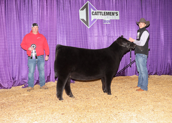 Junior Heifer Calf Champion-Division 4