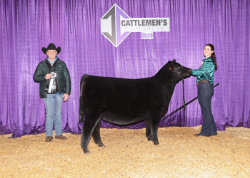 Reserve Junior Heifer Calf Champion-Division 1