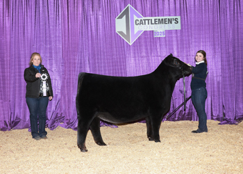 Reserve Junior Heifer Calf Champion-Division 2