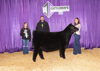 Reserve Summer Heifer Calf Champion