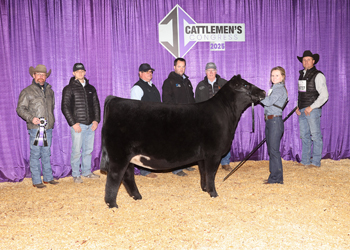 Junior Heifer Calf Champion-Division 3