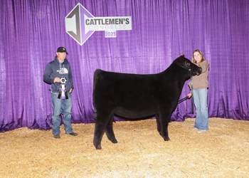 Summer Heifer Calf Champion