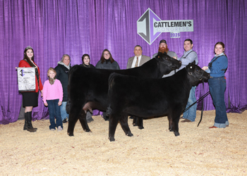 Reserve Grand Champion Cow-calf Pair