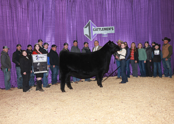 Grand Champion Female