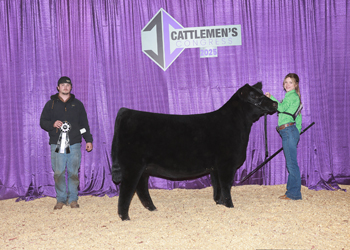 Reserve Senior Heifer Calf Champion-Division 1