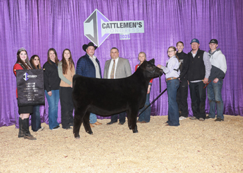 Reserve Grand Champion Bred-and-owned Female